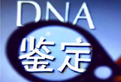 在宿迁哪家医院可以做DNA亲子鉴定，宿迁医院做亲子鉴定如何办理